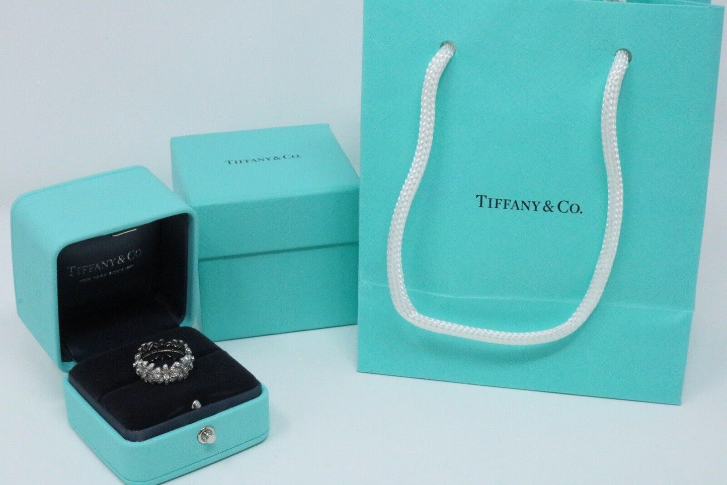 Tiffany & Co Platinum Schlumberger Daisy Diamond Eternity Band Ring 2.00ctw