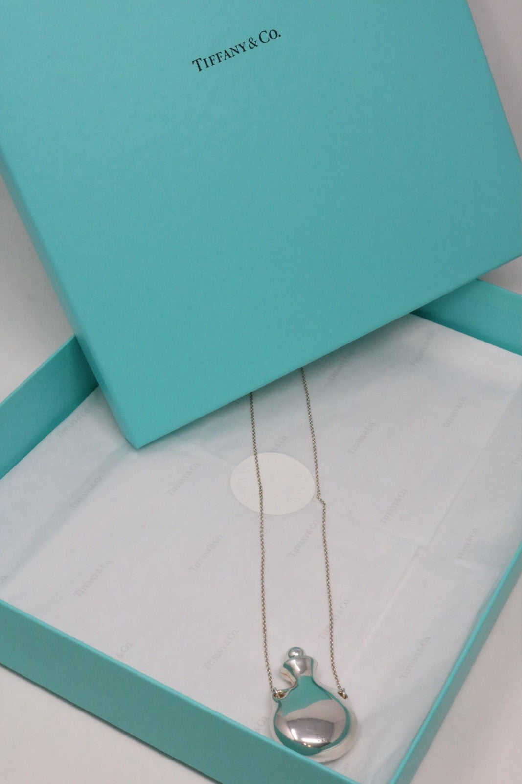 Tiffany & Co. Large Silver Perfume Bottle Long Pendant Necklace 925