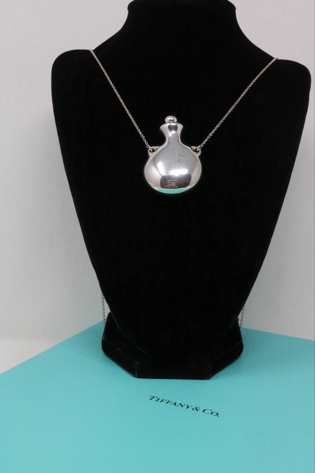 Tiffany & Co. Large Silver Perfume Bottle Long Pendant Necklace 925